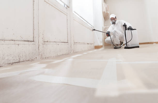 24/7 Emergency Black Mold Remediation experts in Brunswick, GA